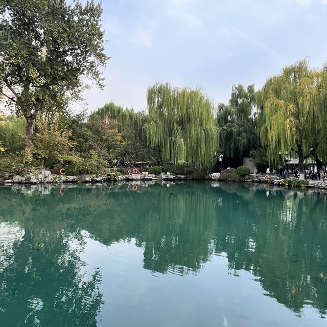 🐟 A Peaceful Local Park Beside the City Center 🐟 A Peaceful Local Park Beside the City Center