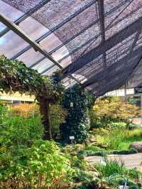 자연의 아름다움을 깊게 느낄 수 있는 곳