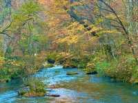 跟著松尾芭蕉的足跡～東北奧之細道賞楓