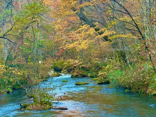 跟著松尾芭蕉的足跡～東北奧之細道賞楓