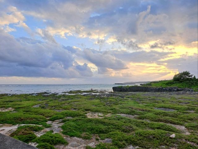 🌊 沖繩奧武島|貓咪之島 × 漁村秘境× 沖繩必吃天婦羅 🌊 沖繩奧武島|貓咪之島 × 漁村秘境× 沖繩必吃天婦羅