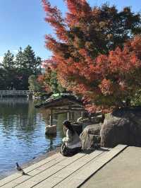 나고야의 단풍을 즐길 수 있는 정원