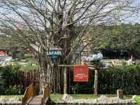 DaNang and Hoi An Magic holiday escape for family✨