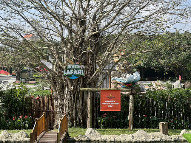 DaNang and Hoi An Magic holiday escape for family✨ DaNang and Hoi An Magic holiday escape for family✨