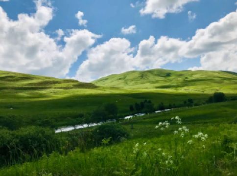 💦 Scotland’s Dramatic Cascade: Grey Mare’s Tail Nature Reserve 🏔️ 