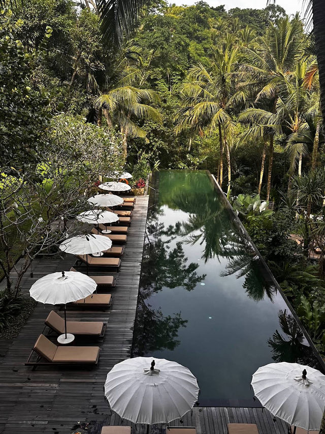 Green Escape Bliss🌿