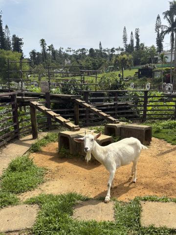 🌴南国の風に包まれる、癒しと発見のガーデン🌿✨ | Trip.com 沖縄市