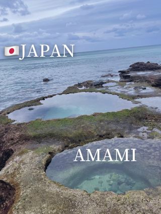 [Japan] The Ultimate Guide to the World Heritage Island, "Amami Oshima".