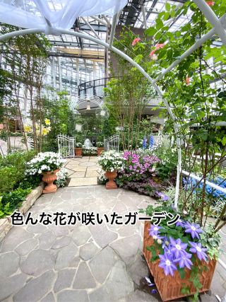 我去安州工業園區「登帕克」參加了花卉節。