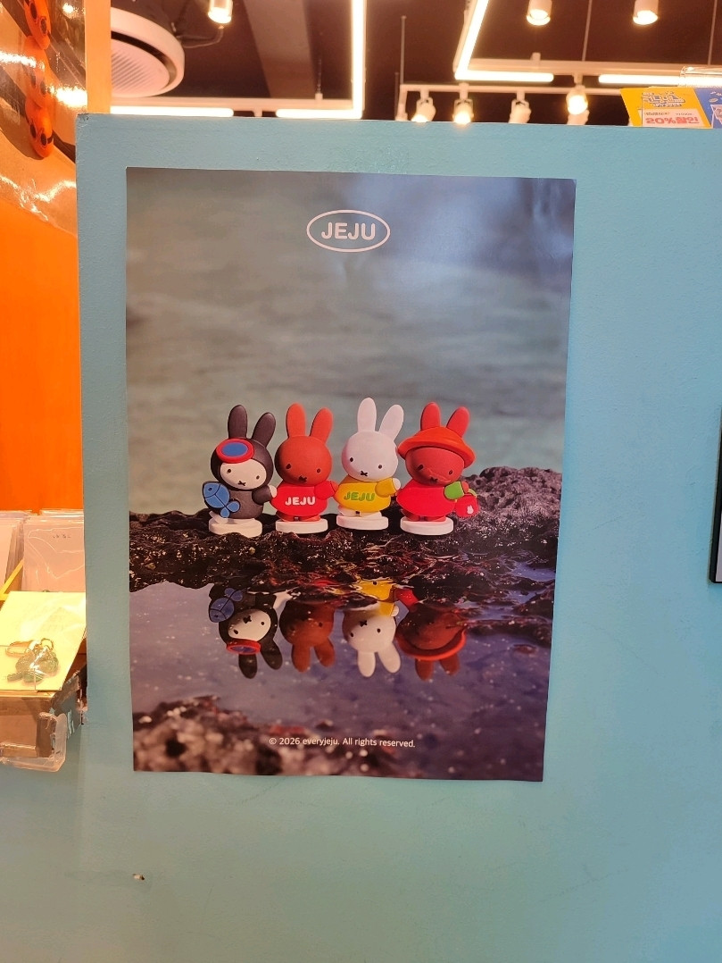 ミッフィー済州限定のお土産とグッズ！🌊🍊🐰 | Trip.com 済州市