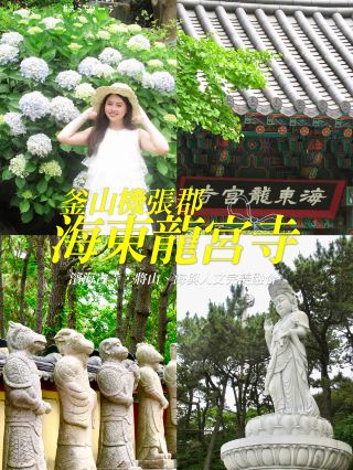 韓國釜山很美的一座寺廟 海東龍宮寺
