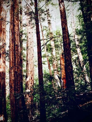 盧納納雪人徒步之旅、岡卡本森峰和懸崖苔原：30 天邊緣之旅easytravelpost #