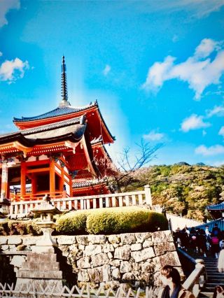 水戶講道館武士學校花園步道