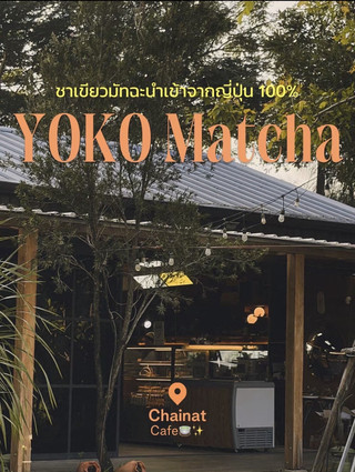 YOKO Matcha ชาเขียวนำเข้าจากญี่ปุ่น 100%🍵✨