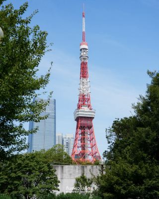 มาถ่ายรูป Tokyo Tower กันค่ะ🇯🇵