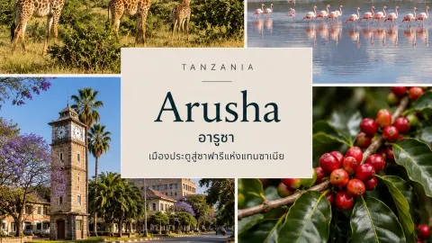 🇹🇿 รีวิวเที่ยวอารูชา (Arusha) เมืองประตูสู่ซาฟารีแห่งแทนซา — traveler post in อรุชา