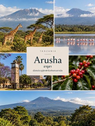 🇹🇿 Review of a trip to Arusha, the gateway to Tanzania's safaris 🦒🌿

If you want to experience nature and hunt for wildlife in Africa, Arusha is a city you shouldn't miss! Located in northern Tanzania, near Mount Meru, it's a key starting point for safari routes to the Serengeti and the Ngorongoro Reserve 🐘

✨ 3 Must-Visit Places in Arusha

🦒 Arusha National Park — A park with lush forests, lakes, volcanic craters, and wildlife such as giraffes, zebras, and buffalo. Flamingos can also be seen during certain seasons. Nature lovers can choose from guided safaris, guided hiking, or canoeing in permitted areas.

🏔️ Mount Meru — A towering 4,566-meter mountain overlooking the city, perfect for hikers looking to challenge themselves. It's also another route used by climbers to acclimatize before conquering Kilimanjaro.

☕ Coffee Plantation Tour — Arusha has coffee plantations at the foot of Mount Meru where you can learn about the entire process from planting and harvesting to roasting and brewing coffee. Experience the aroma of coffee and the lifestyle of local farmers.

🍽️ Food to try: Local dishes like Ugali, a dense corn flour dish eaten with meat or vegetables, and Nyama Choma, East African-style grilled meat.

💡 Fun fact: If you're planning a safari, book a reliable vehicle and guide in advance, especially during peak tourist season. And don't forget to bring a jacket, as the mornings and evenings can be colder than expected.

Arusha may not be a city with bright lights, but its charm lies in being close to mountains, forests, and wildlife, ready to embark on a memorable African adventure. 🌍✨

#Tanzania #Arusha #SafariAdventure #TravelAfrica