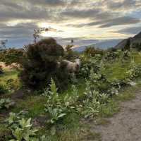 Magnificent View at Roys Peak