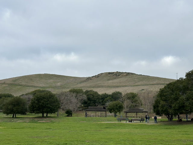 加州弗里蒙特市郊狼山區域公園