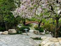 Huaqing Palace: Hot Springs, History, and a Royal Love Story