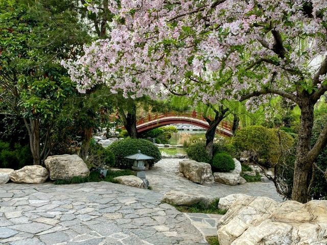 Huaqing Palace: Hot Springs, History, and a Royal Love Story