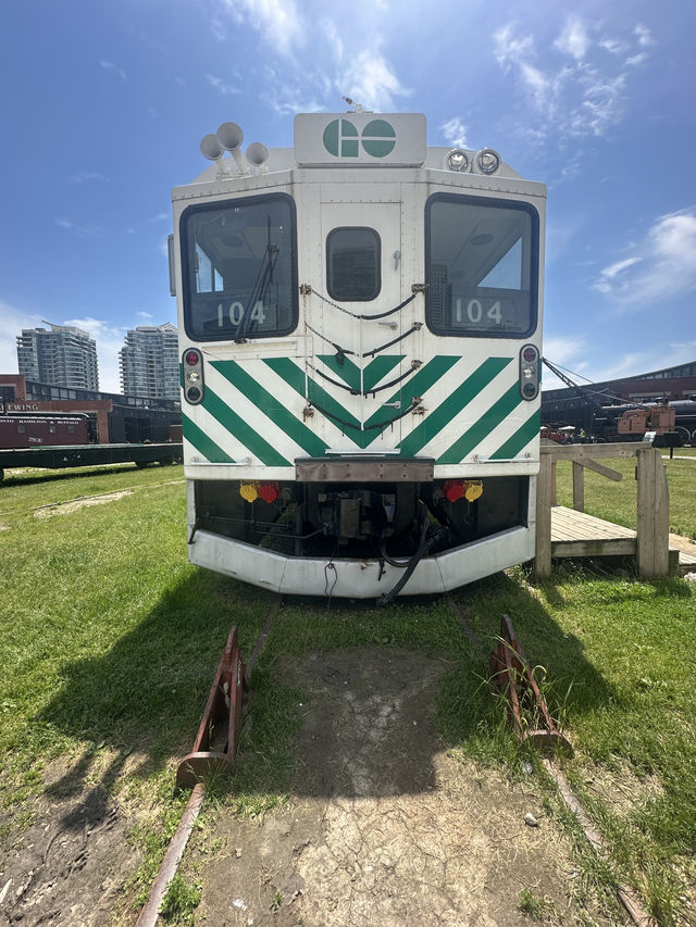 CN tower, train and tasty bites! 