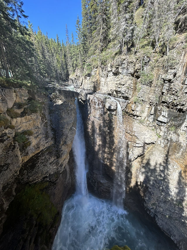 🇨🇦バンフの人気トレイル🏞️【ジョンストンキャニオン】で滝と渓谷を満喫