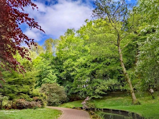 Sefton Park