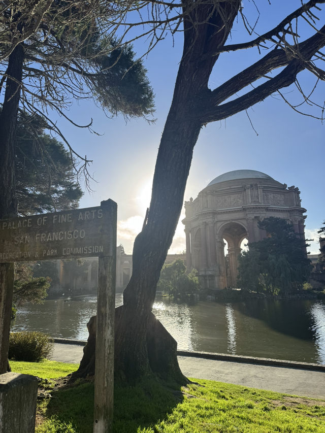 📍Palace of Fine Arts — San Francisco, California