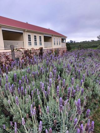 A Retreat With Its Own 500-Acre Forest in NSW Australia