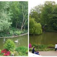 🌟 Exploring London's Hidden Gem: St. James Park 🌳🏰