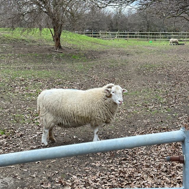 🇬🇧 A Vast Farm in the Heart of London