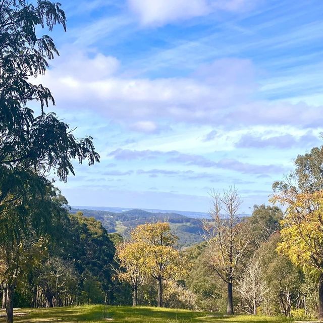 Nice Garden: Mount Lofty Botanic Garden 🇦🇺