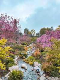 일본 우정 정원 🪴🌸