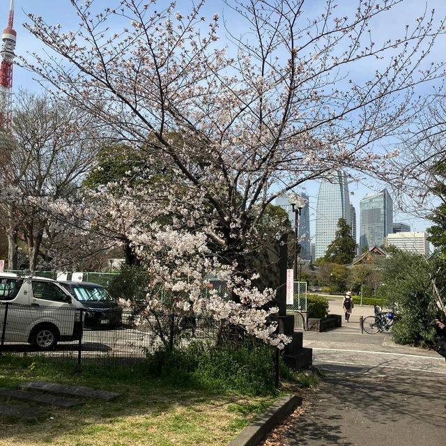 Shiba Park 🇯🇵