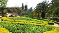Colombia’s City of Eternal Spring