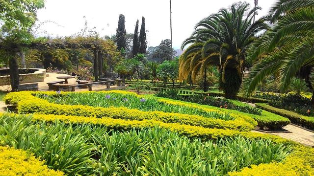 Colombia’s City of Eternal Spring