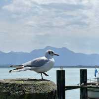 Chiemsee 基姆湖