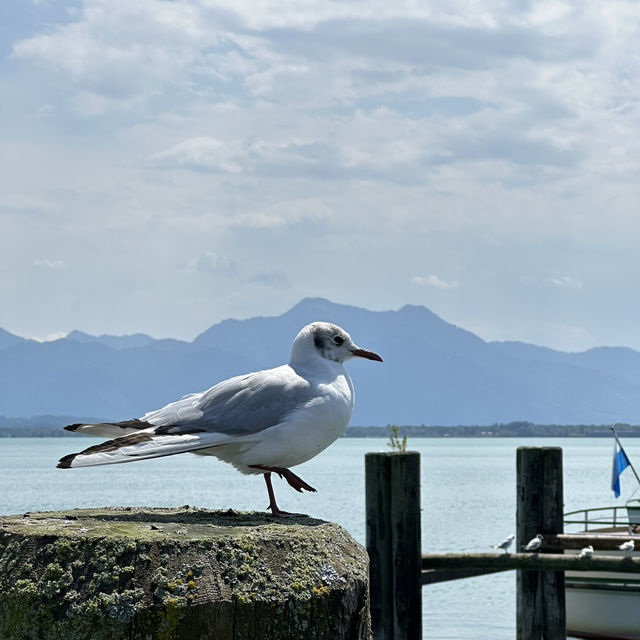 Chiemsee 基姆湖