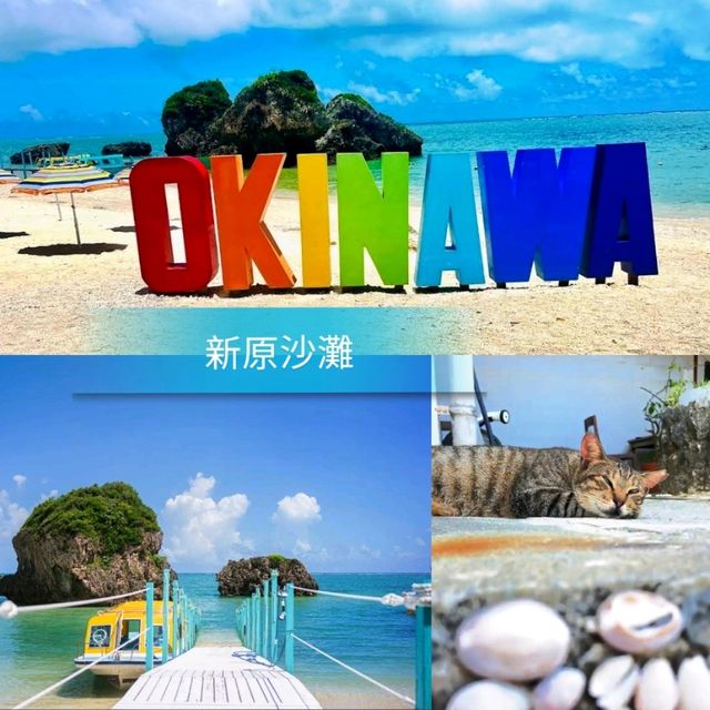 🎣新原沙灘🏖超秘境的海灘🌊海水超級乾淨