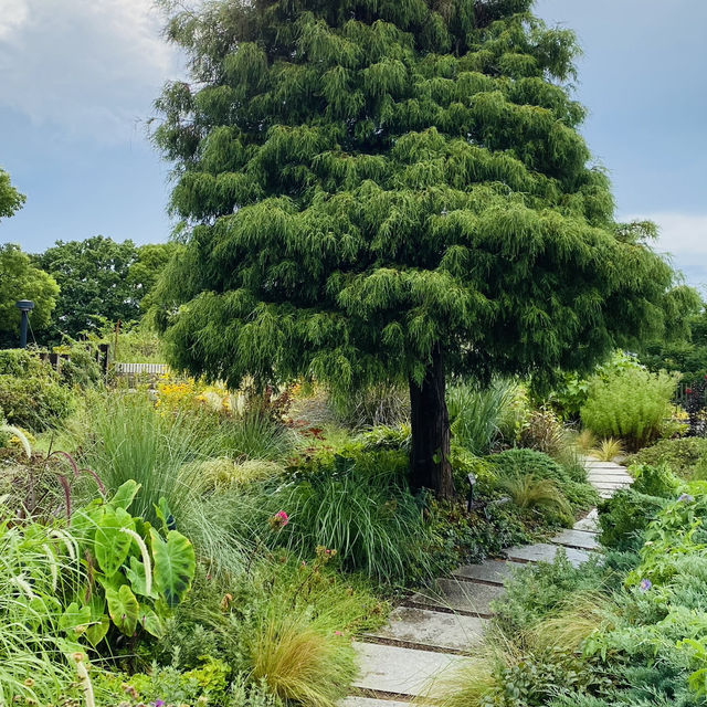 Akashi park