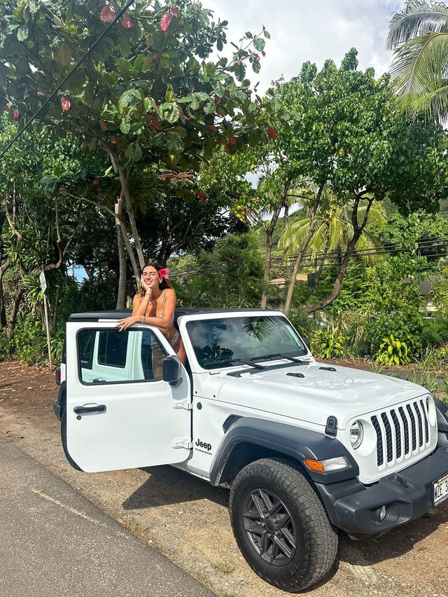 하와이 오아후섬을 방문했는데 잊지못할 경험이었습니다! 🏝️🌺
