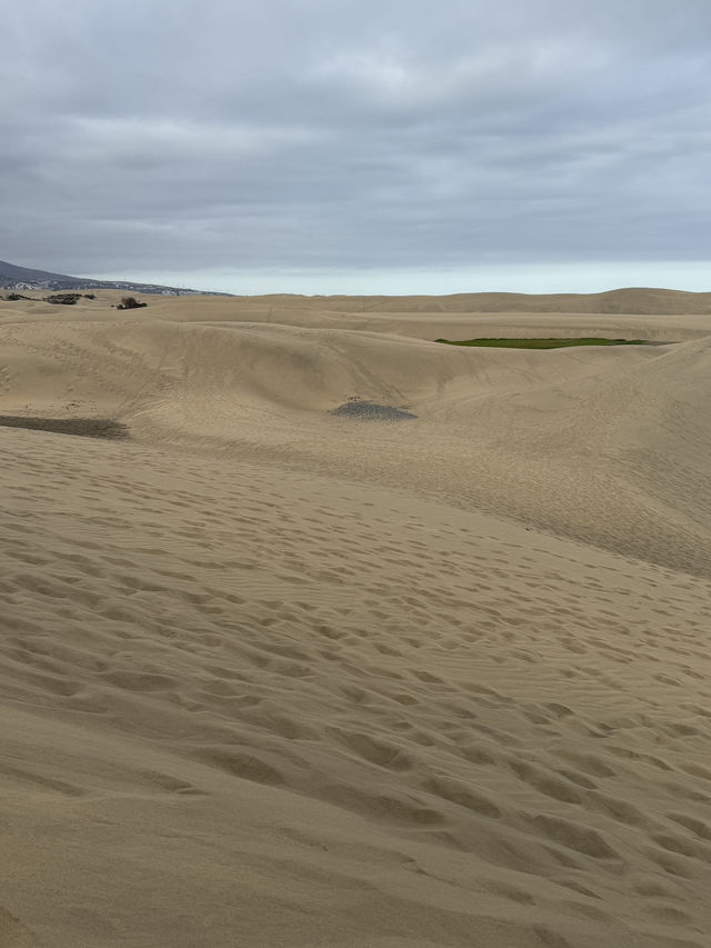 My wonderful visit to Maspalomas