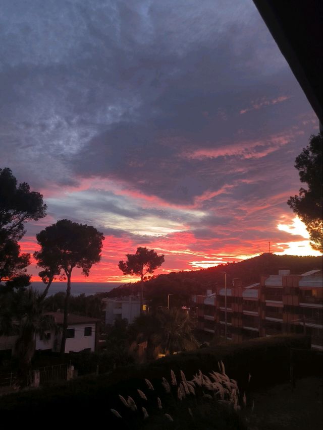 🌅 Sunset Magic in Castelldefels: A Hilltop Adventure 🐗