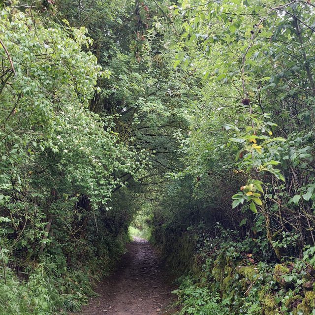 Exploring Asturias’ Lush Landscapes