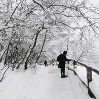 Plitvice full day tour