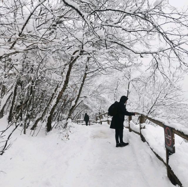 Plitvice full day tour
