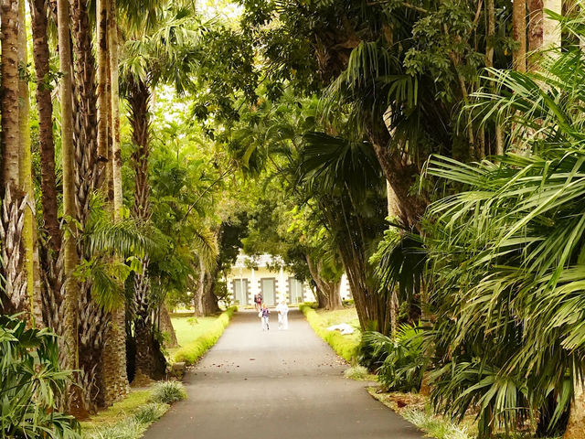 Day Trip to Mauritius
