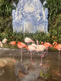 A garden paradise 