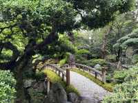 The Kyoto Imperial Palace (京都御所, Kyōto Gosho)